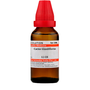 https://cdn.shopify.com/s/files/1/1857/6931/products/Dr.WillmarSchwabeIndiaCactusGrandiflorusDilution6.png?v=1621672895